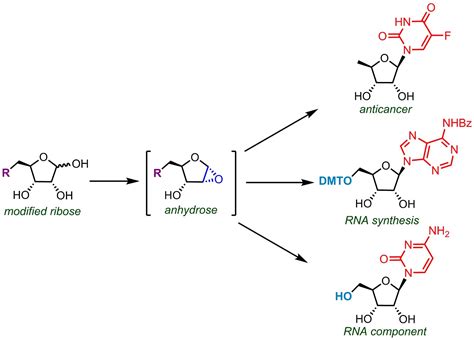 Novel straightforward synthesis of nucleosides