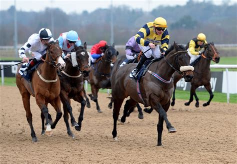 Gallery: Wolverhampton Racecourse gets going in 2019 | Express & Star