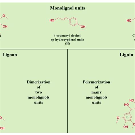 Different properties of plant lignans and lignins. | Download ...