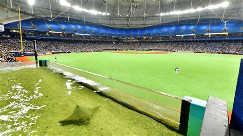 The rays are returning to Tropicana Field's outfield tank - Axios Tampa Bay