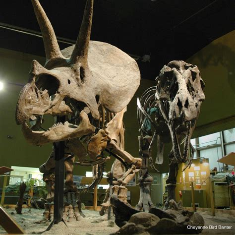 Wyoming Dinosaur Center in Thermopolis, WY