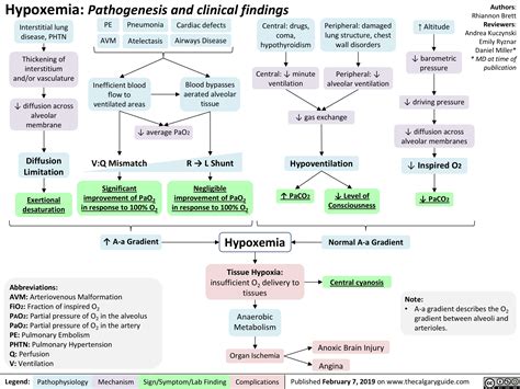 Hypoxemia: Pathogenesis and clinical findings | Calgary Guide