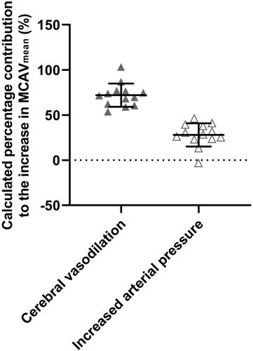 Hypercapnia elicits differential vascular and blood flow responses in ...