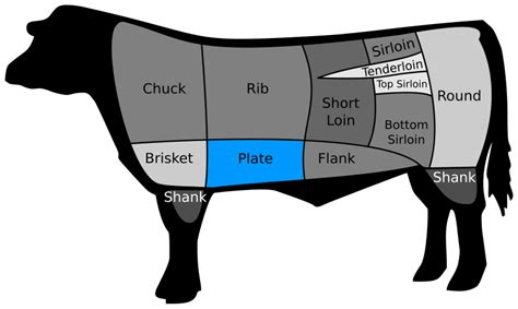 Hanger Steak Diagram