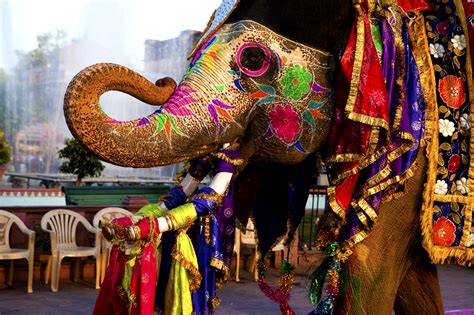 Thrissur Pooram â€“ The Elephant Festival