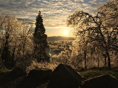 Ice storm Eugene Oregon : r/pics