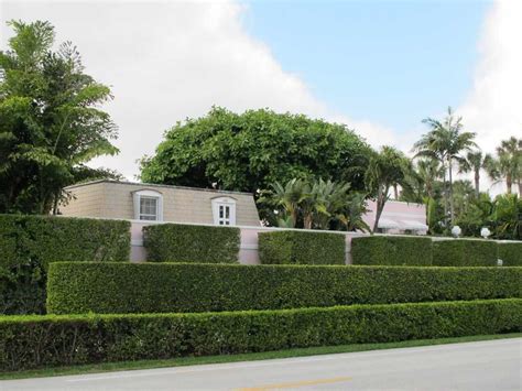 Garden Hedges Design Ideas #6611 | House Decoration Ideas