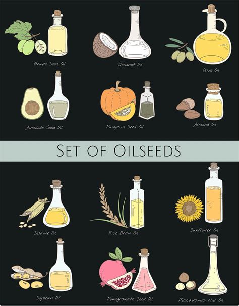 Vector of different types of oil | Premium Vector - rawpixel