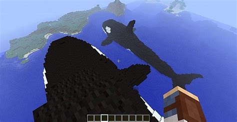 Giant Orca Couple Minecraft Project