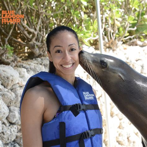 The Sea Lion Encounter at Blue Lagoon | The Bahamas