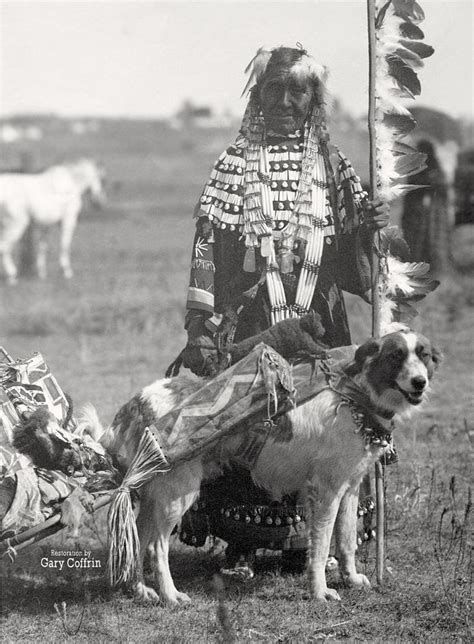 DOG TRAVOIS in 2023 | Native american history, Native american artwork, Native american tribes