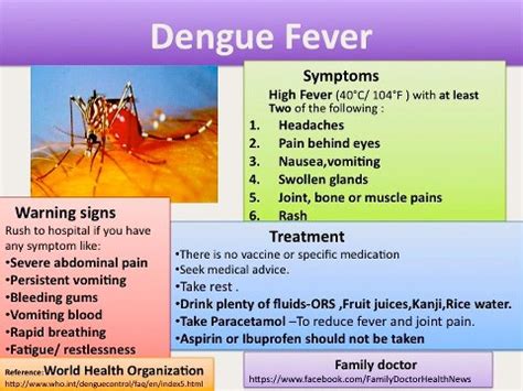 Dengue Fever Causes and Symptoms - Useful One!