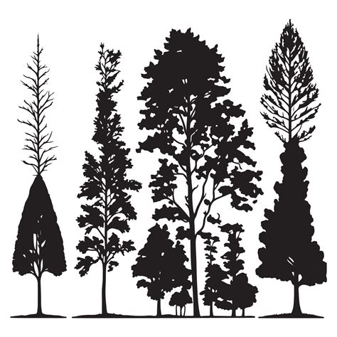 Group of trees silhouette. Tree silhouette vector. 24699198 Vector Art at Vecteezy