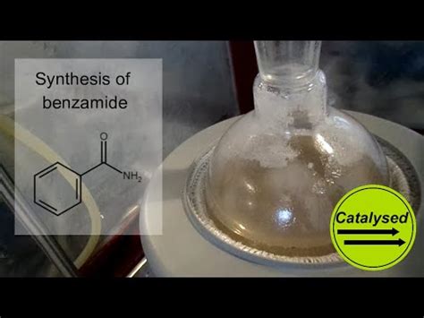 Synthesis of Benzamide - YouTube