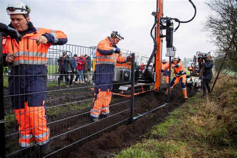 Denmark is building a border fence — to keep out wild boars