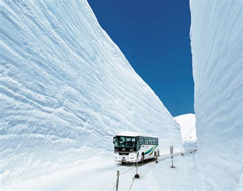 富山「雪の大谷フェスティバル」立山黒部アルペンルートにそびえ立つ雪の壁は最大20m！世界的にも珍しい絶景 4/15〜6/25｜ニフティニュース