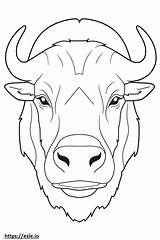 Buffalo Face coloring page sketch template
