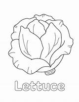 Lettuce Coloring Page Bee Family  Home sketch template