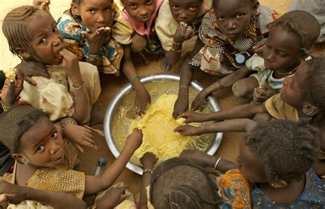 Global hunger increasing - UN warns