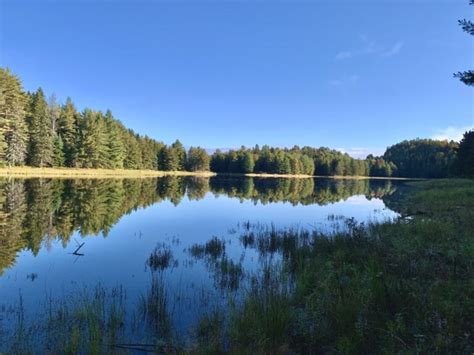 A Guide for Hiking the Highland Backpacking Trail in Algonquin - The Holistic Backpacker