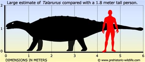 Talarurus Pictures & Facts - The Dinosaur Database