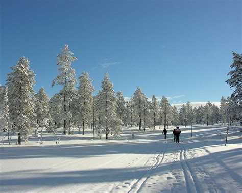 Experience Genuine Lapland Winter In Inari Finland - Adventure Family ...