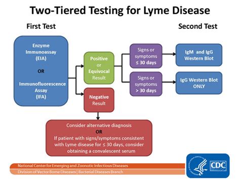 Lyme disease laboratory findings - wikidoc