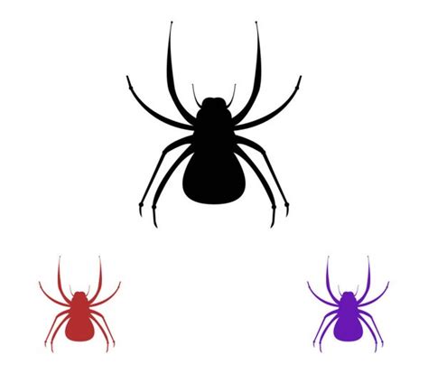 Vector Set Spider Icons Collection Cartoon Spiders Isolated White ...