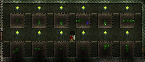 Image - High Efficiency Chlorophyte Farm.png | Terraria Wiki | FANDOM ...