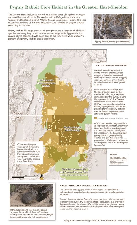 Core Pygmy Rabbit Habitat in the Greater Hart-Sheldon - Oregon Natural Desert Association