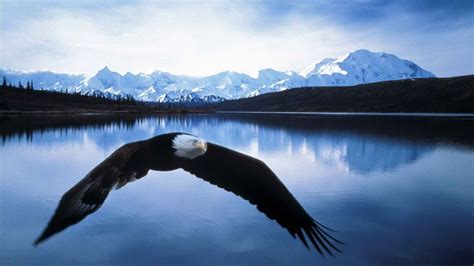 Alaska Night Sky HD Wallpaper (49+ images)