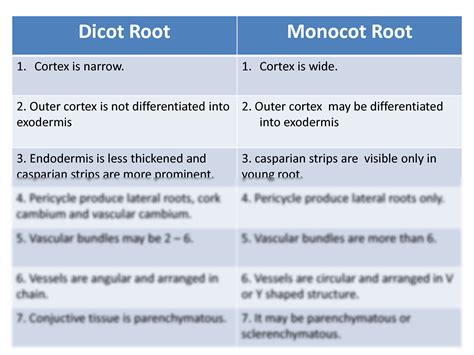 SOLUTION: Differences between dicot and monocot root - Studypool