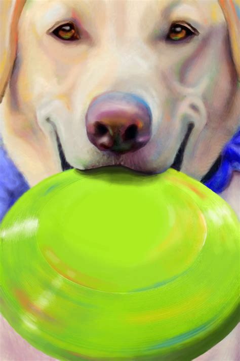 Frisbee Dog by donaldson1026 on DeviantArt