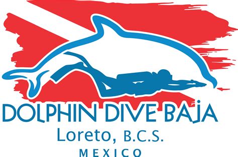 Diving Loreto Mexico | Home | Dolphin Dive Baja