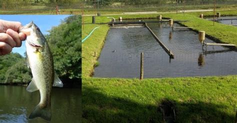 Water and Soil Management for Sustainable Aquaculture | Agri Farming