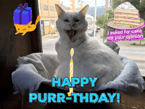 Grumpy Cat Happy Birthday Gif