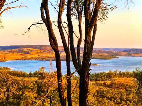 THE 10 BEST Things to Do in Biloela (2024) - Must-See Attractions