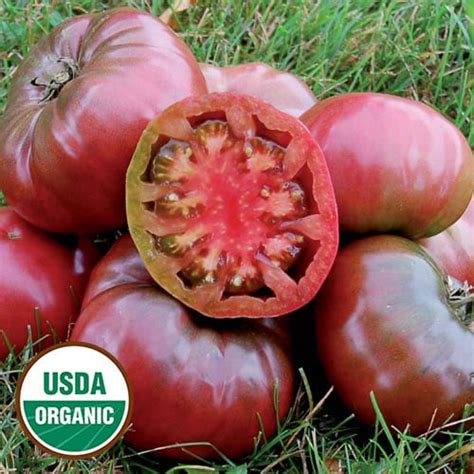 Cherokee Purple Organic Tomato - Seed Savers Exchange