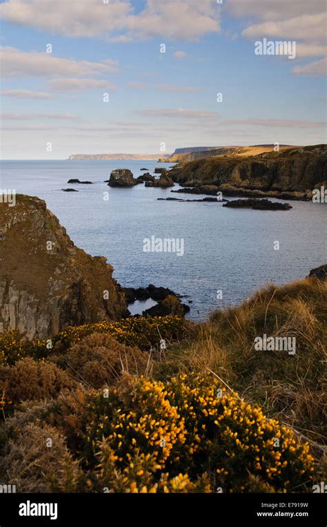 Banffshire coast hi-res stock photography and images - Alamy