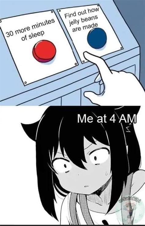 the ultimate decision : r/animememes