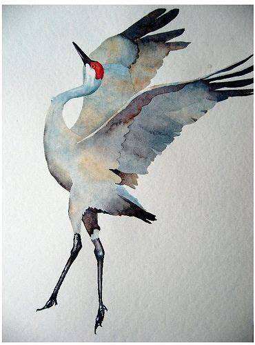 watercolor: sandhill crane | Watercolor bird, Bird art, Birds painting