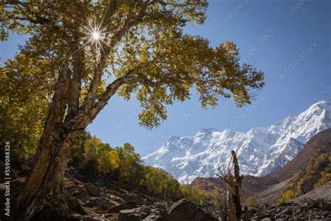 Beautiful view of Nanga Parbat mountain, picture taken on the way to Nanga Parbat Base Camp ...