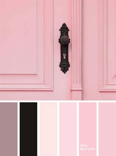 Pink door inspired color palette inspiration, black and pink color scheme