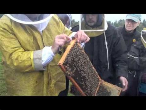 Plan Bee - Beekeeper Training - YouTube