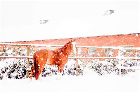 Your Winter Farm To-Do Guide