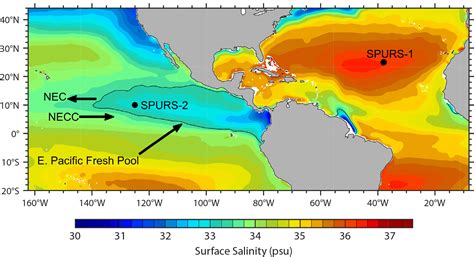 On the Factors Driving Upper-Ocean Salinity Variability at the Western Edge of the Eastern ...