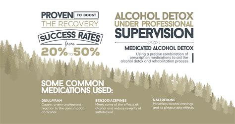 Everything You Need to Know About Alcohol Detox and Rehabilitation