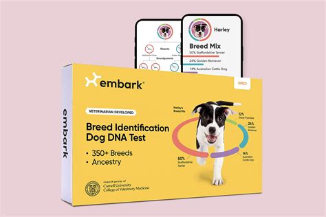 The Best Dog DNA Test Kits | Money.com