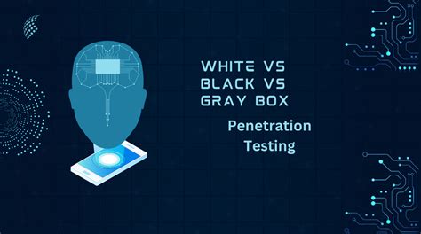 White vs Black vs Gray Box Penetration Testing - NextdoorSEC ...