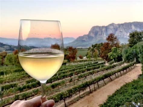 Stellenbosch wineries to visit